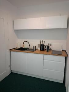 Kuchyňa alebo kuchynka v ubytovaní Apartamenty Mistral