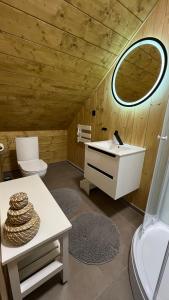 a bathroom with a sink and a toilet and a mirror at CHALET COBURG in Telgárt