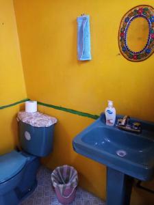a bathroom with a blue toilet and a sink at 224 in Oaxaca City