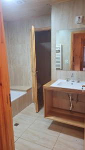 a bathroom with a sink and a toilet and a mirror at Espacio BERNI in San Martín de los Andes