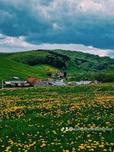 Afbeelding uit fotogalerij van Complex Dealu' Frumos in Întorsura Buzăului