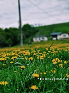 Afbeelding uit fotogalerij van Complex Dealu' Frumos in Întorsura Buzăului