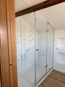 a shower with a glass door in a bathroom at Guest House MJ in Póvoa de Varzim