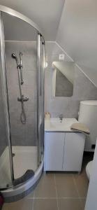 a bathroom with a shower and a sink at Appart'Evry 2G in Évry-les-Châteaux