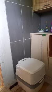 ein Bad mit einem weißen WC in einem Zimmer in der Unterkunft Plēsumi 