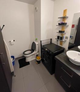 ein Badezimmer mit Toilette und Waschbecken in der Unterkunft T1/ terrasse /proche centre Lyon in La Mulatière + 33 Fotos