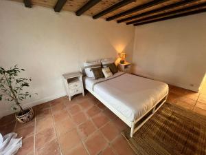 a bedroom with a bed and a potted plant at Domaine Royal Quercy in Monclar-de-Quercy +23 photos