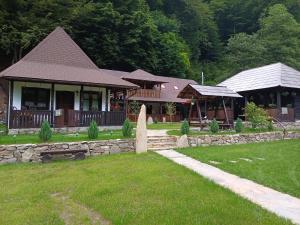 a large house with a stone path in front of it at Casuta din Valea Regilor in Grădiştea de Munte