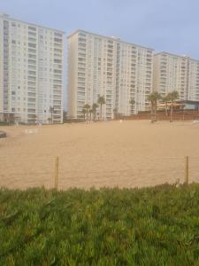 una gran playa con edificios altos y palmeras en Laguna Bahia, en Algarrobo