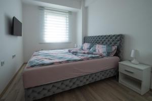 Postel nebo postele na pokoji v ubytování Petković apartmani 48