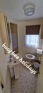 a bathroom with a sink and a toilet and a window at The Hive on The Chase Ingoldmells in Skegness