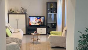 TV a/nebo společenská místnost v ubytování Apartman CELIJA