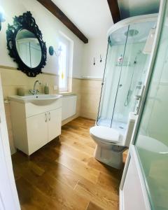 a bathroom with a shower and a toilet and a sink at Casa Moldovan ( Coltisorul meu de rai) in Ocna Şugatag