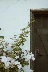 a plant with pink roses next to a door at Axatorpsgården in Trelleborg