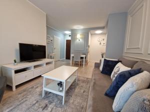 uma sala de estar com um sofá e uma televisão em Apartament Zawiśle em Toruń