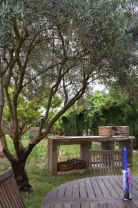 A garden outside Castillo Esmeralda