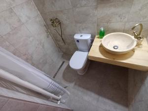 a bathroom with a white toilet and a sink at Casuta din Valea Regilor in Grădiştea de Munte