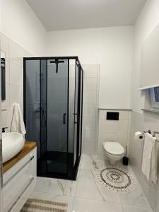 a bathroom with a glass shower and a toilet at Appartement BM in Drage