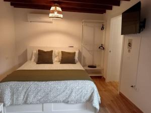 a bedroom with a bed and a television in it at Casa Azul in Granadilla de Abona