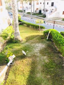 eine Rasenfläche mit einer Palme und einer Straße in der Unterkunft شالية مفروش قرية سما العريش in El Arish