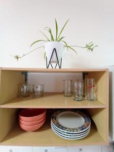 a shelf with plates and a potted plant on it at Nirvana Apartament Hostal in Alajuela City
