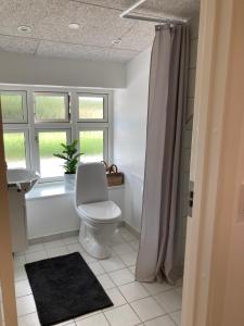 a bathroom with a toilet and a window at Varde Bed and Kitchen in Varde