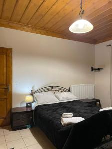 Φωτογραφία από το άλμπουμ του Τα πέτρινα γεφύρια στη Δημητσάνα