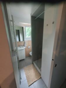 a bathroom with a shower and a toilet and a sink at Domek nad Narwią in Zatory +16 photos