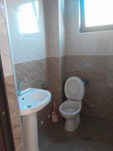 a small bathroom with a toilet and a sink at vila chakvi in Chakvi