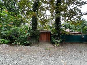 Vrt pred nastanitvijo Mono Azul Cahuita