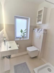 een badkamer met een toilet, een wastafel en een raam bij Schönes Ferienhaus, bis 6 Pers, zentral gelegen in Heide