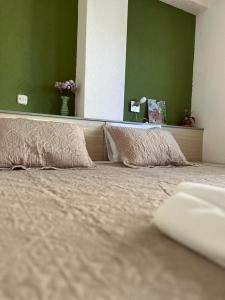 1 cama con 2 almohadas y pared verde en Volkan Apartments, en Ohrid