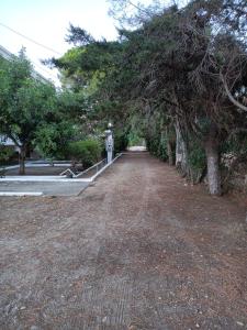 Gallery image of Luxurious Apartment Katakolo Beach in Katakolon