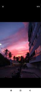 puesta de sol con palmeras frente a un edificio en Apartamentos Ingrid, en San Andrés