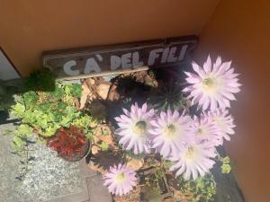 Fotografie z fotogalerie ubytování Cà del Fili v destinaci Lenno