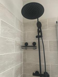 a shower with a shower head in a bathroom at Hortensia*Proche Centre-Ville et CHU*Parking in Amiens