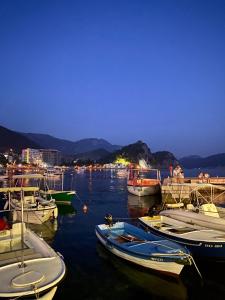 a group of boats docked in a harbor at night at Apartment Center Adria in Bar