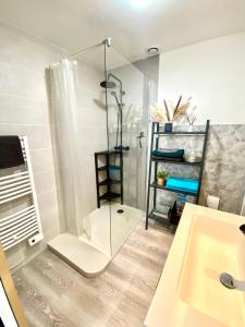 a bathroom with a glass shower and a sink at Beau duplex à deux pas du port in Le Tréport