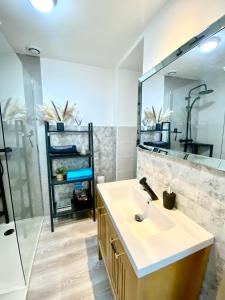 a bathroom with a sink and a shower at Beau duplex à deux pas du port in Le Tréport