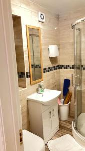 uma casa de banho com um lavatório, um WC e um espelho. em Work-Play Stylish, Speedwell Apartment, Free Parking em Bristol