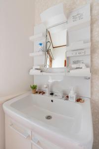 a bathroom with a white sink and a mirror at BISK PARK TOKYO - 4LDK Spacious House - Easy Access to Asakusa, Skytree area & Airport in Tokyo