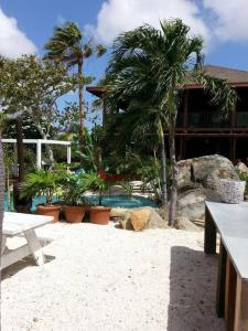 a resort yard with a picnic table and palm trees at Villa in Aruba's nature's paradise in Santa Cruz