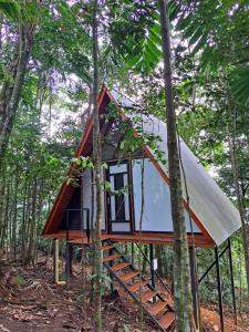 a tree house in the middle of the forest at Guayupes Hotel de Aventura in Guamal