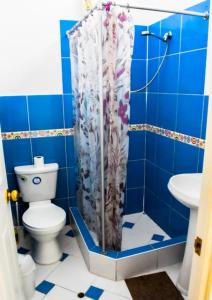 a blue tiled bathroom with a toilet and a shower at Las Mariposas Hospedaje in Tacna