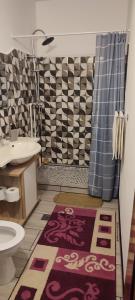 a bathroom with a shower and a toilet and a rug at Casa Rebeca in Orşova