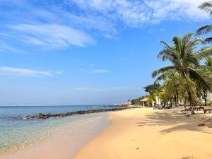 piaszczystą plażę z palmami i oceanem w obiekcie Sea Sense Resort w Duong Dong