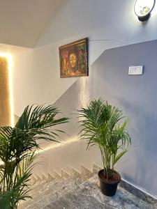 dwie rośliny w pokoju z obrazem na ścianie w obiekcie VHB Inn w mieście Jigani