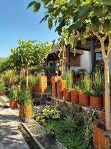 un jardín con macetas frente a una casa en Tzy-No Family Cottage, en Balong