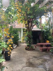 - une cour avec un arbre et une table de pique-nique dans l'établissement Adrian View resort, à Ko Sichang