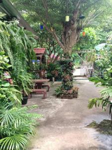 un parco con panchina e albero con piante di Adrian View resort a Ko Si Chang